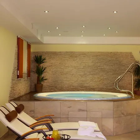 酒店 莫泽霍夫酒店 4*