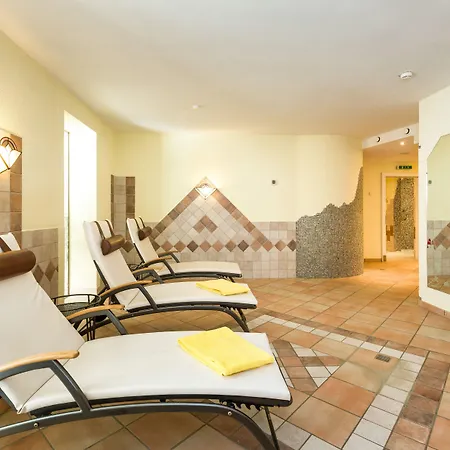 莫泽霍夫酒店 酒店 4*