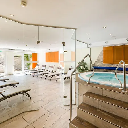 莫泽霍夫酒店 4* 罗伊特