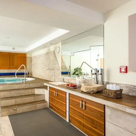 酒店 莫泽霍夫酒店 4*