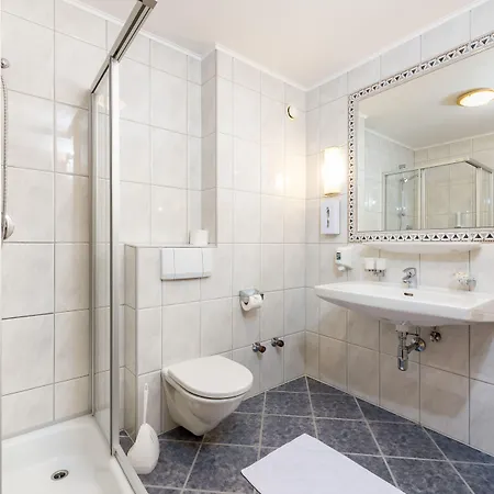 莫泽霍夫酒店 4* 罗伊特