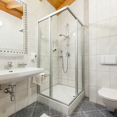 莫泽霍夫酒店 4* 罗伊特