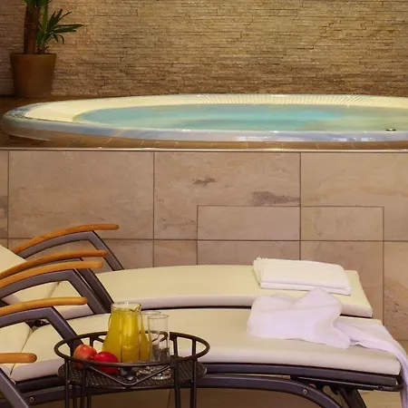 莫泽霍夫酒店 4* 罗伊特