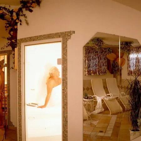 莫泽霍夫酒店 4*